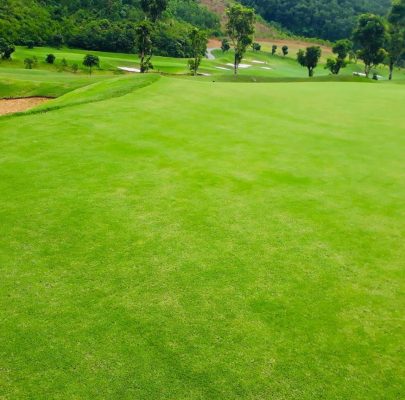 Sân gôn Geleximco Hòa Bình - Hilltop Valley golf club