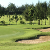Học Đánh Golf Ở Sân Golf Paradise Vũng Tàu