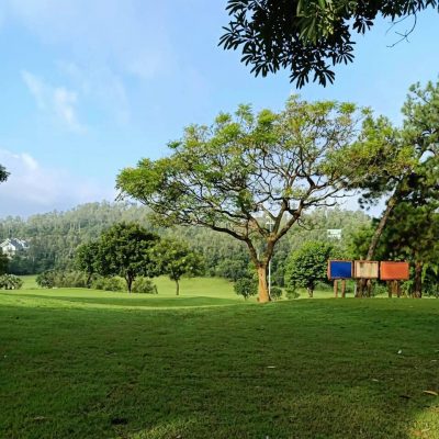 Sân Gôn Tam Đảo Golf & Resort Ở Vĩnh Phúc